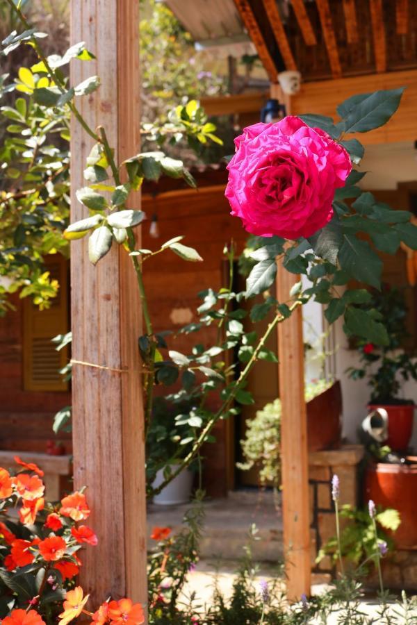 Soul Pnb Homestay Da Lat Exterior photo