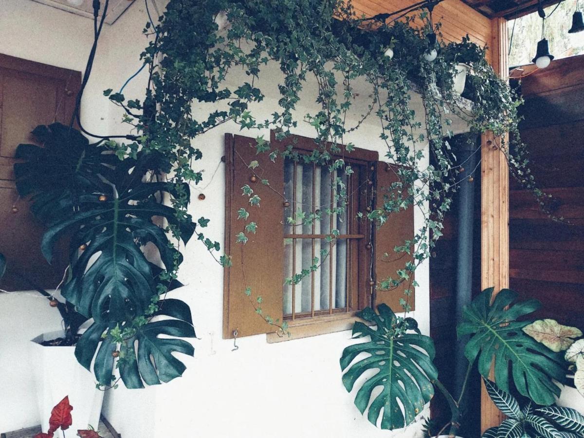 Soul Pnb Homestay Da Lat Exterior photo